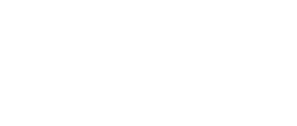 Data_Newsletter_Logo_Klaviyo