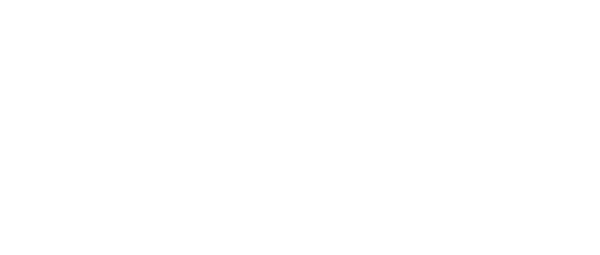 Data_Newsletter_Logo_Salesforce