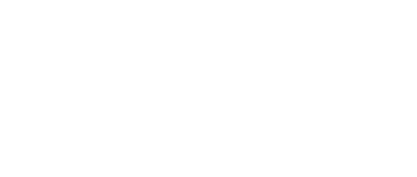Data_Newsletter_Logo_Shopify